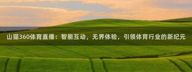 山猫360体育直播：智能互动，无界体验，引领体育行业的新纪元