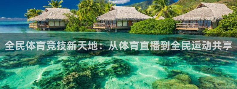 全民体育竞技新天地：从体育直播到全民运动共享