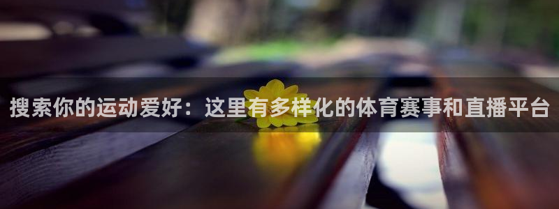 搜索你的运动爱好：这里有多样化的体育赛事和直播平台