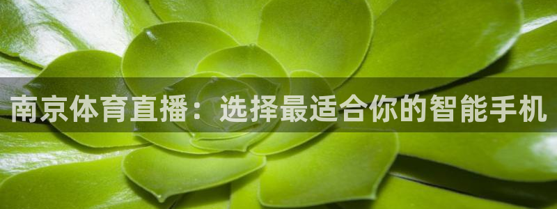 南京体育直播：选择最适合你的智能手机