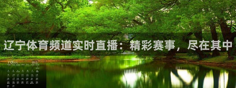 辽宁体育频道实时直播：精彩赛事，尽在其中