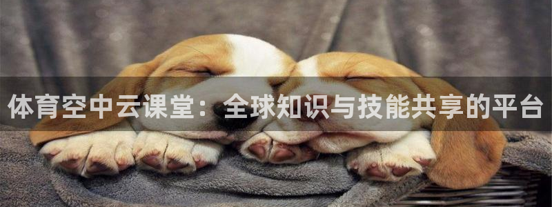 体育空中云课堂：全球知识与技能共享的平台