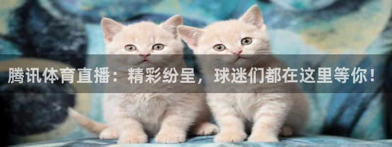 腾讯体育直播：精彩纷呈，球迷们都在这里等你！