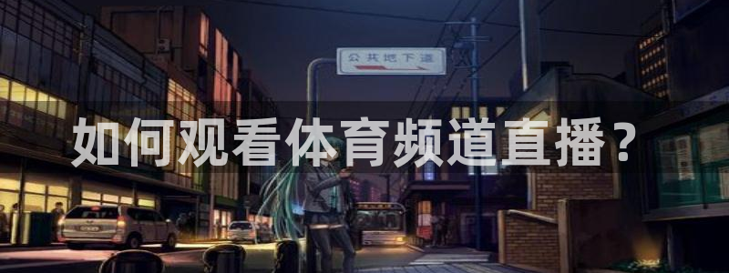 如何观看体育频道直播？