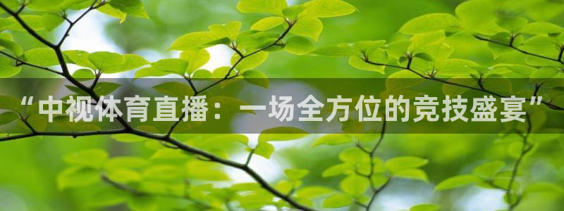“中视体育直播：一场全方位的竞技盛宴”