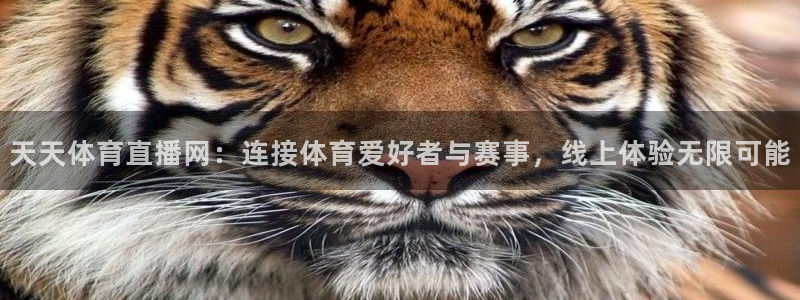 天天体育直播网：连接体育爱好者与赛事，线上体验无限可能