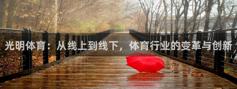光明体育：从线上到线下，体育行业的变革与创新